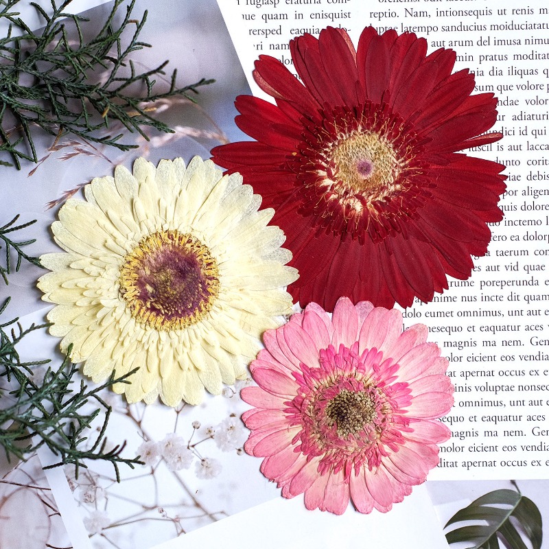 1 Stück/7–9 cm, gepresste Gerb – Resin Craft Ideas Bewertung und Preis