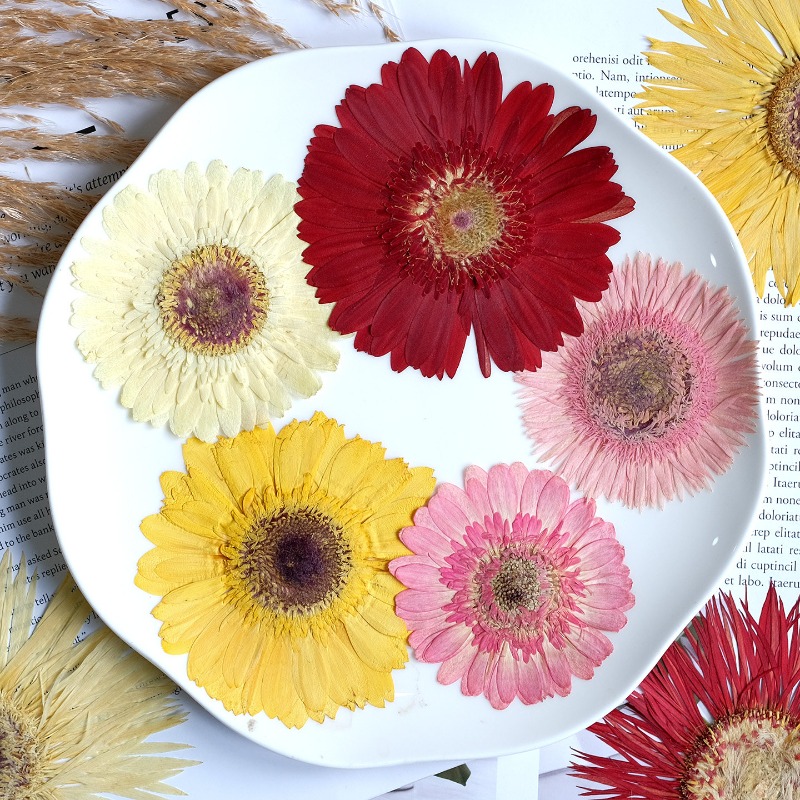 1 Stück/7–9 cm, gepresste Gerb – Resin Craft Ideas Bewertung und Preis